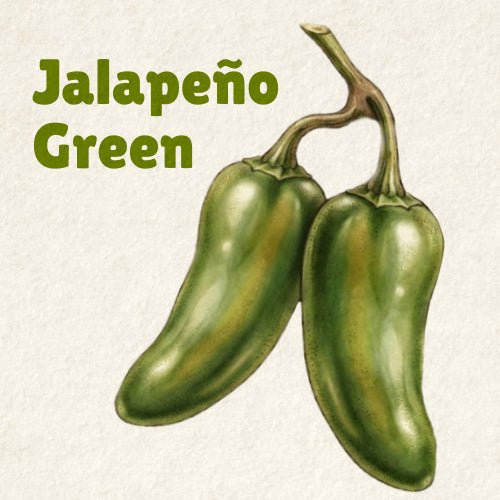 Jalapeño Green - Pepper Song