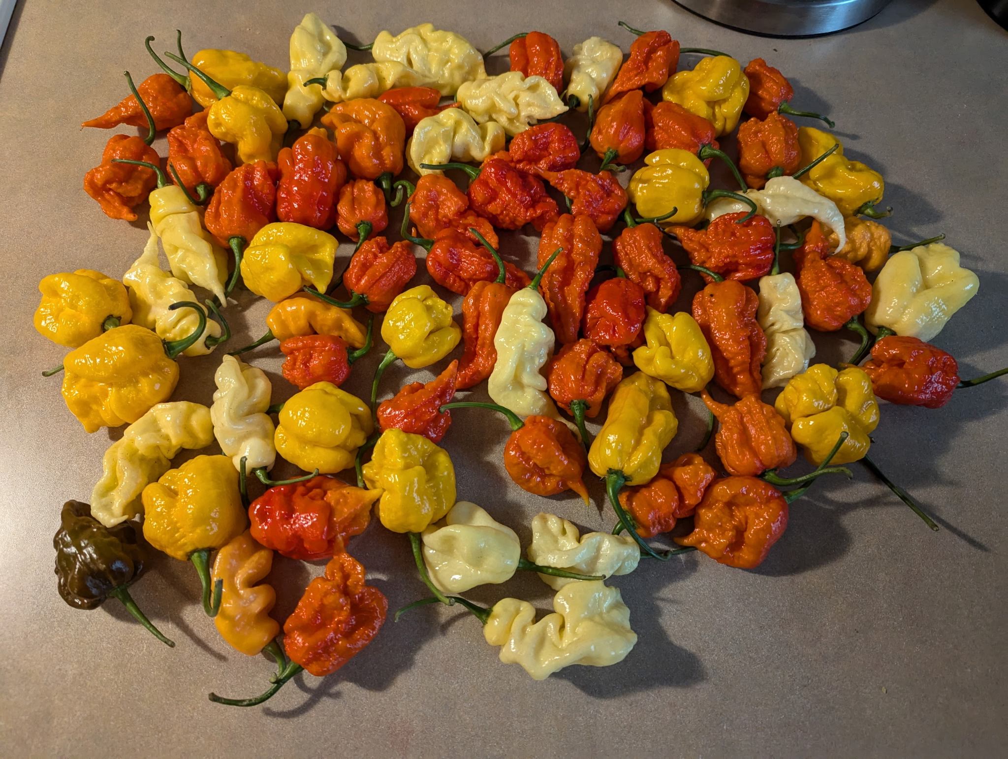 Assorted colorful peppers on a flat surface